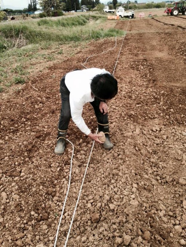 みんなの栽培日記｜2015/05/04_福島市荒井の畑にて。